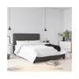 Elvia Queen Upholstered Bed