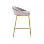 Matisse Velvet Counter Stool - Set of 2