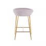 Matisse Velvet Counter Stool - Set of 2