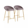 Matisse Velvet Counter Stool - Set of 2