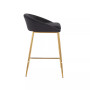 Matisse Velvet Counter Stool - Set of 2