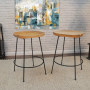 Palmetto Counter Stool (Set Of 2)
