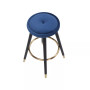 Cavalier Counter Stool - Set of 2