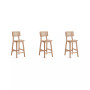 Versailles 3-Piece Ash Wood and Natural Cane Counter Height Bar Stool
