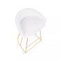 Canary Upholstered Counter Stool, Set of 2
