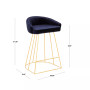 Canary Upholstered Counter Stool, Set of 2
