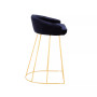 Canary Upholstered Counter Stool, Set of 2