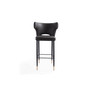 Holguin Barstool