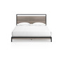 Dontally Queen Platform Bed