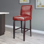 Antonio Bar Stool