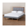 Emele Modern Transitional Queen Size Platform Bed