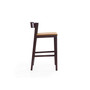Klismos Counter Stool