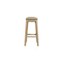 Fern Bar Stool