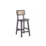 Versailles 2-Piece Ash Wood and Natural Cane Counter Height Bar Stool