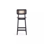 Versailles 2-Piece Ash Wood and Natural Cane Counter Height Bar Stool