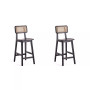 Versailles 2-Piece Ash Wood and Natural Cane Counter Height Bar Stool