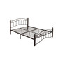 Bouvardia Contemporary Iron Bed Frame, King