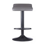 Tarah 2 Piece Set Air Lift Adjustable Stool, Black/Gray