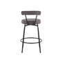 Rhonda Contemporary Counter Stool, Set of 2