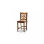 Caron Modern and Contemporary Transitional 2-Piece Finished Wood Counter Stool Set