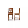 Caron Modern and Contemporary Transitional 2-Piece Finished Wood Counter Stool Set
