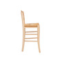 Antun 24" Counter Stool - Set of 2