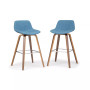 Randolph Counter Stool (Set of 2)