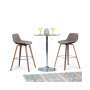 Randolph Counter Stool (Set of 2)