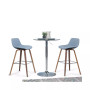 Randolph Counter Stool (Set of 2)