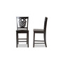 Gervais Modern and Contemporary Transitional Wood Counter Stool Set, 2 Piece