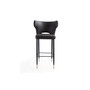 Holguin Barstool, Set of 2