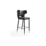 Holguin Barstool, Set of 2