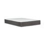 Primo Regal Cloud 12" Plush Hybrid Mattress- King + 2 Free Pillows
