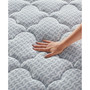 Serene Sky 11" Plush Mattress- Queen