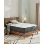 Harmony Cayman Series 13" Extra Firm Mattress Set- Queen Split