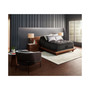 C-Class 16" Plush Pillow Top Mattress- Queen