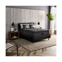 L-Class 14.25" Medium Pillow Top Mattress- Queen