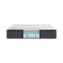 BRS900-C 16.25" Plush Pillowtop Set- King