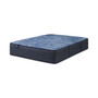 Perfect Sleeper Euphoric Nights 14" Plush Hybrid Mattress, Queen