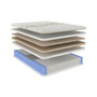 Rainey Street 14.5" Plush Mattress, Queen