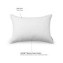 Fresh Sleep Memory Foam Cluster 2-Pack Pillows
