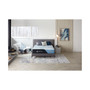 Arctic Premier 14.5" Firm Mattress Set- Queen