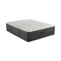 BRS900-C 13.5" Extra Firm Mattress Set- Queen