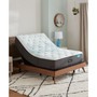 Harmony Cayman Series 13.5" Medium Mattress Set- Twin