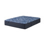 Perfect Sleeper Cobalt Calm 13" Plush Mattress-Twin
