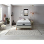 BR800 13.5" Medium Pillow Top Mattress Set- Twin
