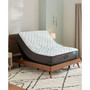 Harmony Cayman Series 13" Extra Firm Mattress- Full