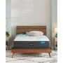 Harmony Cayman Series 13" Extra Firm Mattress- Full