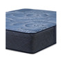 Perfect Sleeper Euphoric Nights 14" Plush Hybrid Mattress, Full