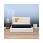 Perfect Sleeper Adoring Night 10.5" Plush Mattress-Full
